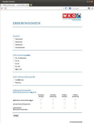 WKO-Fragebogen mit Fragen zur Firmenentwicklung