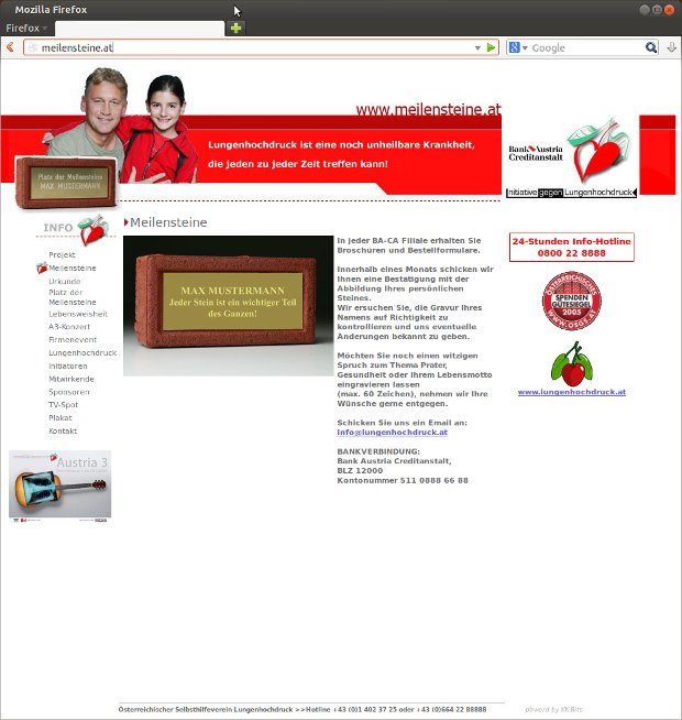 Meilensteine.at-Webseite mit Tafel und Text zu einem Meilenstein